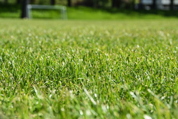 Fussball Soccer Golf Rasen Feld 