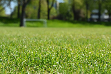 Fussball Soccer Golf Rasen Feld 