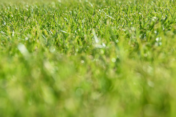 Fussball Soccer Golf Rasen Feld 