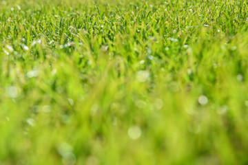 Fussball Soccer Golf Rasen Feld 