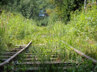 Gleise ins Nirgendwo