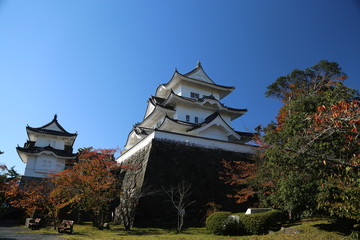 伊賀上野城