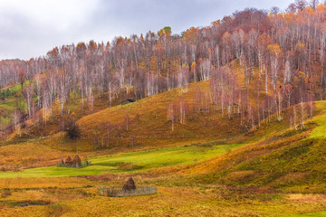 Autumn landscape in Fundatura Ponorului, also known as 