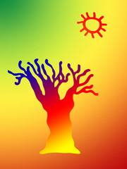 Silhouette of a baobab, green, yellow and red background, illustration