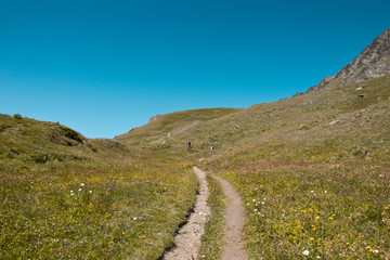 valle d'aosta , valle di cogne