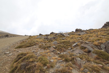 Almuñecar y Sierra Nevada