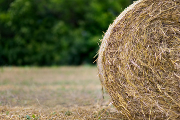 round haystack on a field close up
