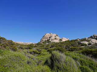 panorama assolato all'isola de La Maddalena in Sardegna