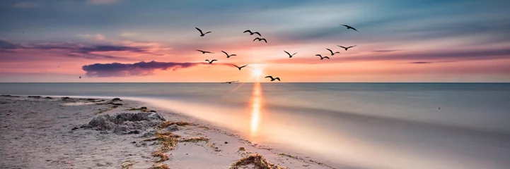 Foto op Aluminium zonsondergang op zee © haiderose