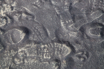 footprint texture in soft sand at the edge of the chesapeake bay in calvert county southern...