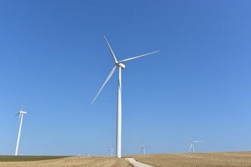 Fototapeta premium éolienne