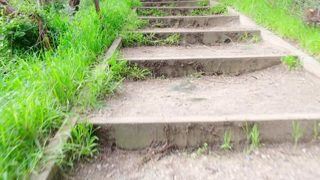 POV Walking Up Stairs In Nature Reserve. Camera Low Above Ground, Fast Forward Movement