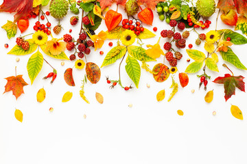 Autumn composition made of flowers,leaves, berries on white background. Autumn concept for Thanksgiving day or for other holidays. Flat lay.