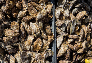Fresh raw oysters on outdoor street market in Cancale town in Brittany, France