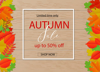Autumn sale background layout decorate with leaves for shopping sale or promo poster and frame leaflet or web banner.Vector illustration template.
