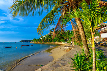 Seafront with palms in Buzios, Rio de Janeiro. Brazil