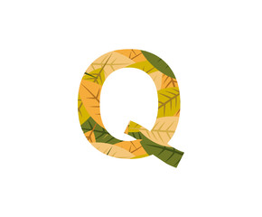 Tropical Leaves Jungle Vector Logo Letter Q. Q Letter Design Vector  Leaves Logo Icon.