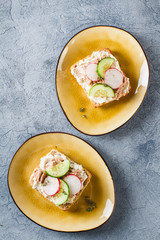 Delicious tuna sandwich, served with radish and cucumber