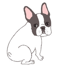 フレンチブルドッグ バイト