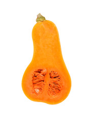 Raw butternut squash isolated on white background