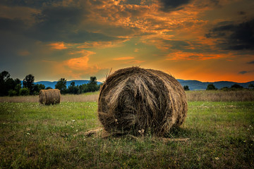 Harvested straw field with Hay bale on agriculture field at sunset