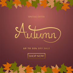 Autumn sale background layout decorate with leaves for shopping sale or promo poster and frame leaflet or web banner.Vector illustration template.