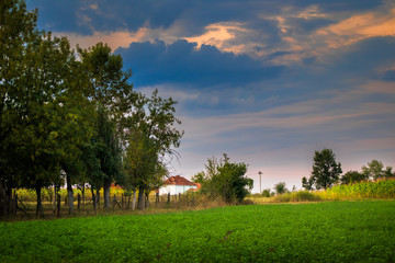 Rural scene in a village at sunset