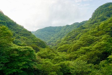 Obraz premium 山間の鉄道橋