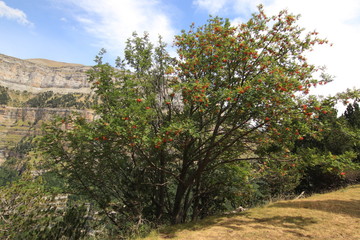 Monte Perdido, Ordesa