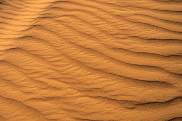 Fototapeta na wymiar sands of the desert