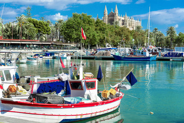 At the fishing port of Palma de Mallorca with the cathedral La Seu © Wolfgang Jargstorff
