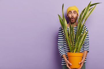 Cheerful European man holds pot of indoorplant, has satisfied surprised expression, looks through...