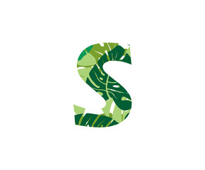 Tropical Jungle Vector Logo Letter S. S Letter Design Vector Jungle Tropical Leaves.