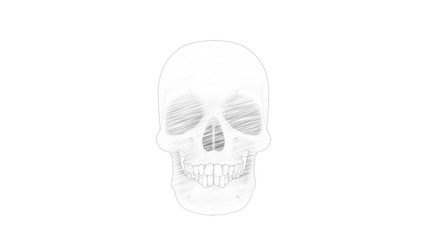 3d rendering of multiple views of a human skull isolated in white background