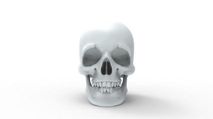 3d rendering of multiple views of a human skull isolated in white background