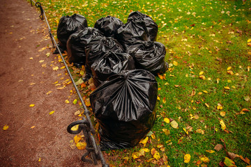 Biodegradable garbage bags for collecting fallen autumn leaves