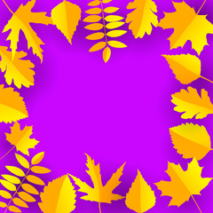 Colorful autumn background with leaves