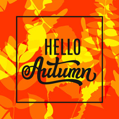 Hello autumn poster. Vector design