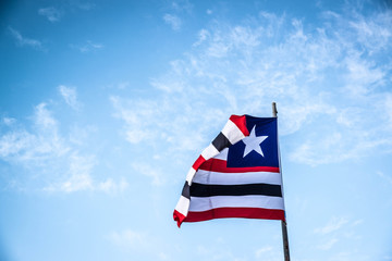 A beautiful view of brazil state flag (bandeira do maranhao)