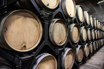 Wine and champagne barrels in the vineyards of Europe