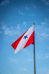 A beautiful view of Brazil state flag (Bandeira do Pará).