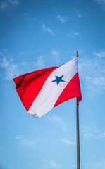 A beautiful view of Brazil state flag (Bandeira do Pará).