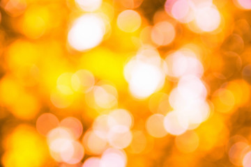 Fototapeta premium autumn background with sunny rays