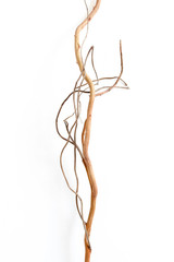 Border frame made of corilus branch on white background