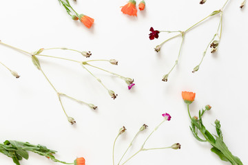 Layout of flowers on white background