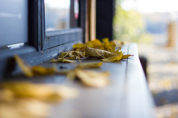 Yellow dry leaves on a brown wooden windowsill in the Park close-up. Autumn leaves on a blurred windowsill background.