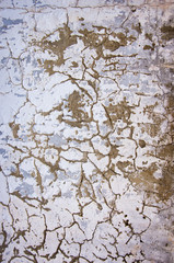 old wall texture