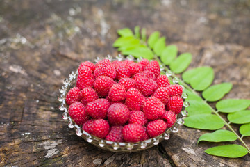 Ripe raspberries on the old stump with green leaf. Top view.