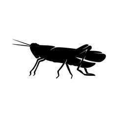 Grasshopper Logo Design Vector Illustration. Grasshopper Design Template