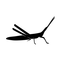 Grasshopper Logo Design Vector Illustration. Grasshopper Design Template